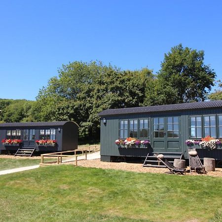Hog Deer Creek - At Port Lympne Reserve Exterior photo